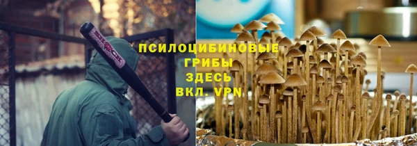 амф Билибино