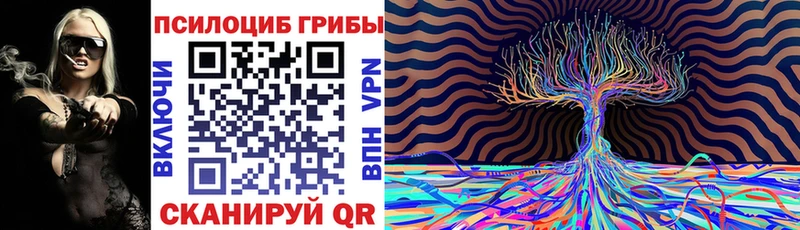 купить наркотики сайты  Шадринск  Псилоцибиновые грибы мухоморы 